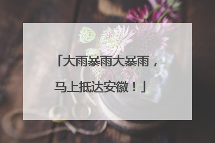 大雨暴雨大暴雨，马上抵达安徽！