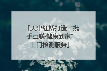 天津红桥打造“携手互联·健康到家”上门检测服务