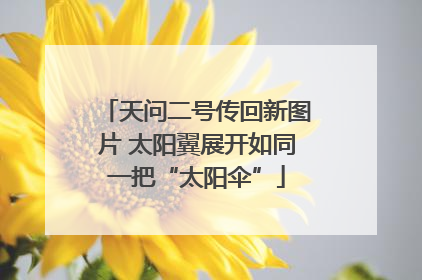 天问二号传回新图片 太阳翼展开如同一把“太阳伞”