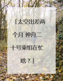 太空出差两个月 神舟二十号乘组在忙啥？