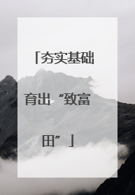 夯实基础育出“致富田”