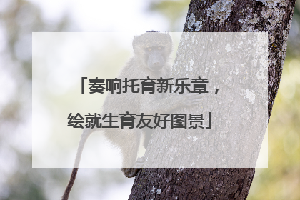 奏响托育新乐章，绘就生育友好图景