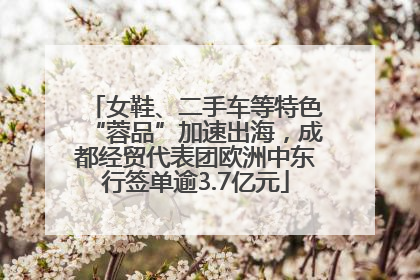 女鞋、二手车等特色“蓉品”加速出海，成都经贸代表团欧洲中东行签单逾3.7亿元