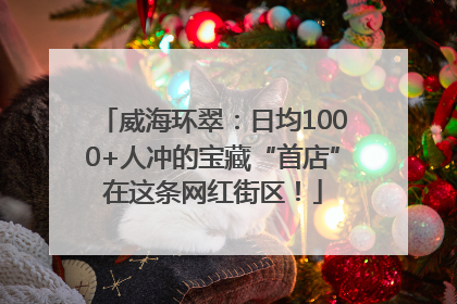 威海环翠：日均1000+人冲的宝藏“首店”在这条网红街区！