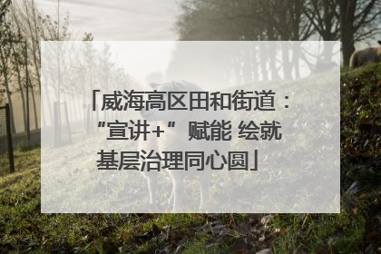 威海高区田和街道：“宣讲+”赋能 绘就基层治理同心圆