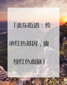 娄东街道：传承红色基因，赓续红色血脉