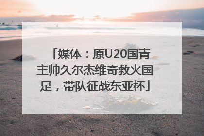 媒体：原U20国青主帅久尔杰维奇救火国足，带队征战东亚杯