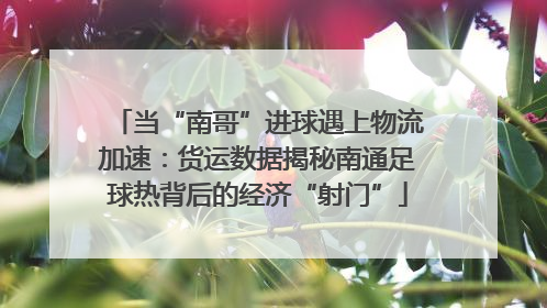 当“南哥”进球遇上物流加速：货运数据揭秘南通足球热背后的经济“射门”