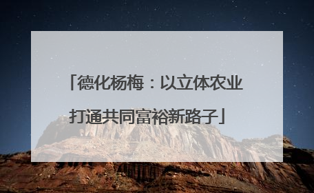 德化杨梅：以立体农业打通共同富裕新路子