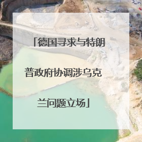 德国寻求与特朗普政府协调涉乌克兰问题立场