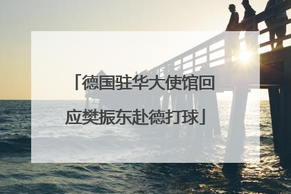 德国驻华大使馆回应樊振东赴德打球