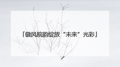 徽风皖韵绽放“未来”光彩