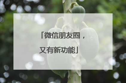 微信朋友圈，又有新功能