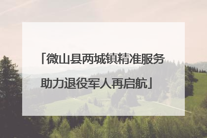 微山县两城镇精准服务助力退役军人再启航