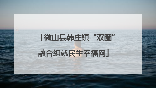 微山县韩庄镇“双圈”融合织就民生幸福网