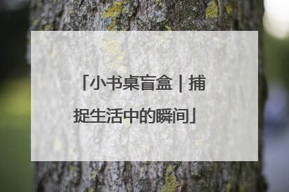 小书桌盲盒｜捕捉生活中的瞬间