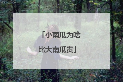 小南瓜为啥比大南瓜贵