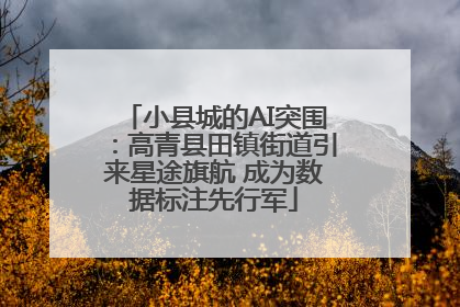 小县城的AI突围：高青县田镇街道引来星途旗航 成为数据标注先行军