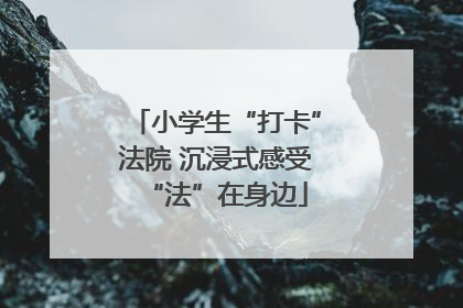 小学生“打卡”法院 沉浸式感受“法”在身边