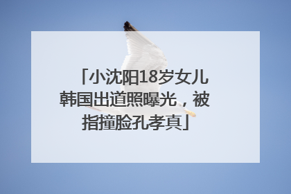 小沈阳18岁女儿韩国出道照曝光，被指撞脸孔孝真