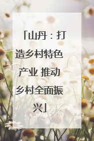 山丹：打造乡村特色产业 推动乡村全面振兴