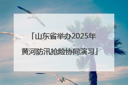山东省举办2025年黄河防汛抢险协同演习
