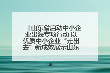 山东省启动中小企业出海专项行动 以优质中小企业“走出去”新成效展示山东产业发展新形象