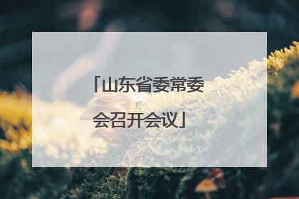 山东省委常委会召开会议