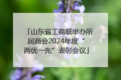 山东省工商联举办所属商会2024年度“两优一先”表彰会议