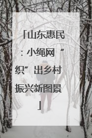 山东惠民：小绳网“织”出乡村振兴新图景