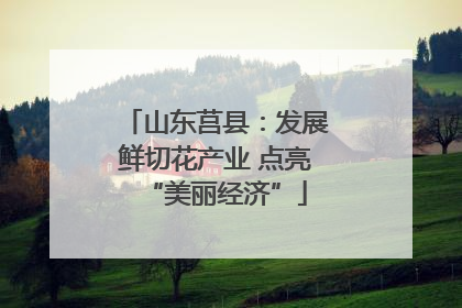 山东莒县：发展鲜切花产业 点亮“美丽经济”