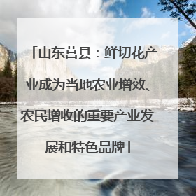山东莒县：鲜切花产业成为当地农业增效、农民增收的重要产业发展和特色品牌