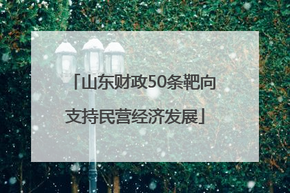 山东财政50条靶向支持民营经济发展