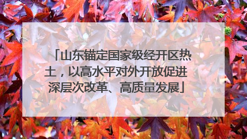 山东锚定国家级经开区热土，以高水平对外开放促进深层次改革、高质量发展