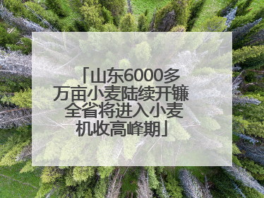 山东6000多万亩小麦陆续开镰 全省将进入小麦机收高峰期