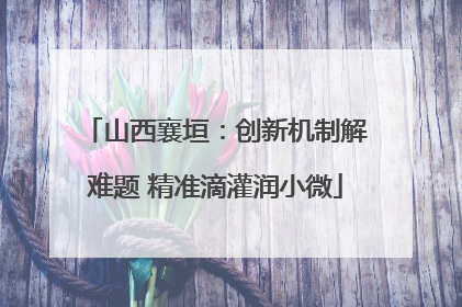 山西襄垣：创新机制解难题 精准滴灌润小微