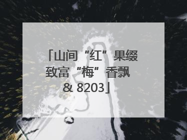 山间“红”果缀 致富“梅”香飘& 8203
