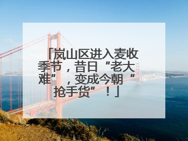 岚山区进入麦收季节，昔日“老大难”，变成今朝“抢手货”！