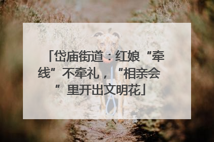 岱庙街道：红娘“牵线”不牵礼，“相亲会”里开出文明花