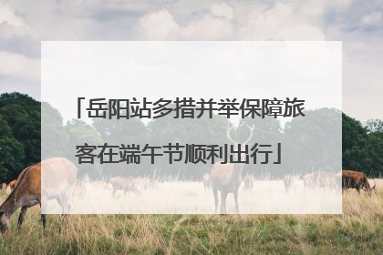 岳阳站多措并举保障旅客在端午节顺利出行