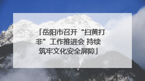 岳阳市召开“扫黄打非”工作推进会 持续筑牢文化安全屏障