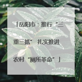 岳阳市：推行“三重三抓” 扎实推进农村“厕所革命”
