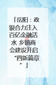 岳阳：政银合力注入百亿金融活水 乡镇商会建设开启“四新篇章”