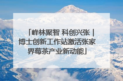 峰林聚智 科创兴张｜博士创新工作站激活张家界莓茶产业新动能