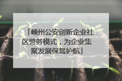 嵊州公安创新企业社区警务模式，为企业集聚发展保驾护航
