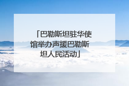 巴勒斯坦驻华使馆举办声援巴勒斯坦人民活动