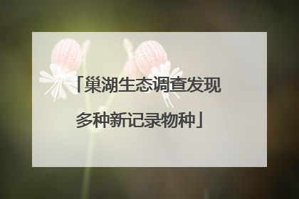 巢湖生态调查发现多种新记录物种