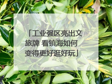 工业强区亮出文旅牌 看镇海如何变得更好逛好玩