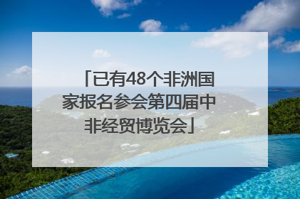 已有48个非洲国家报名参会第四届中非经贸博览会