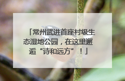 常州武进首座村级生态湿地公园，在这里邂逅“诗和远方”！